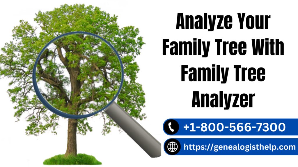 Family Tree Analyzer
