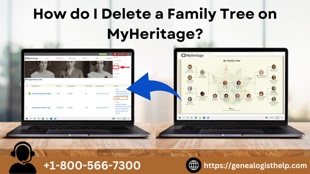 Delete a Family Tree on MyHeritage