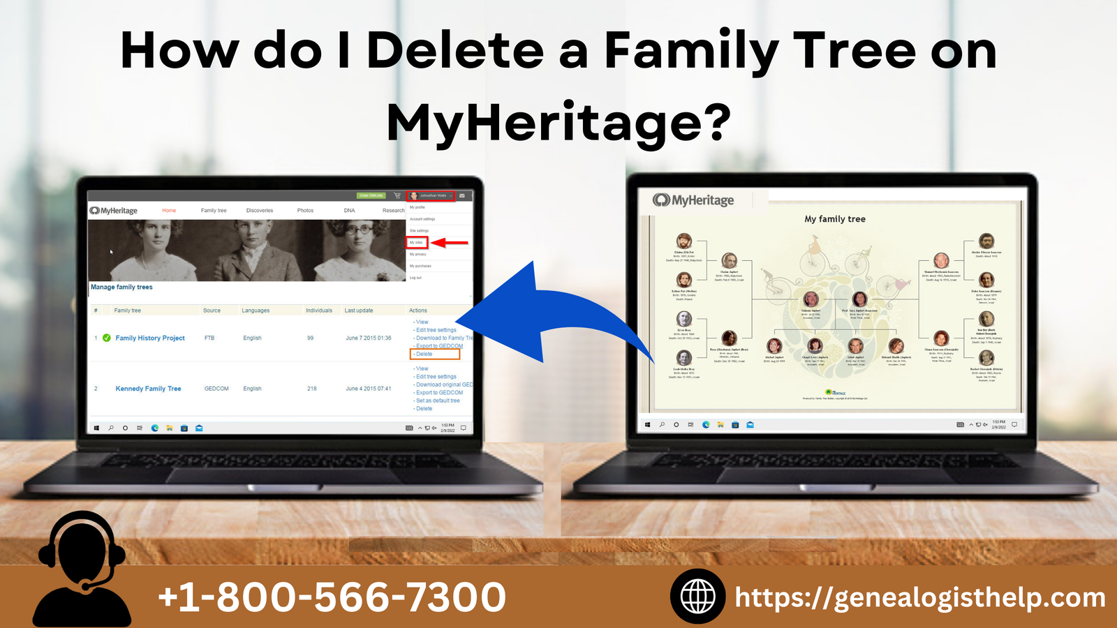 Steps to Delete a Family Tree on MyHeritage